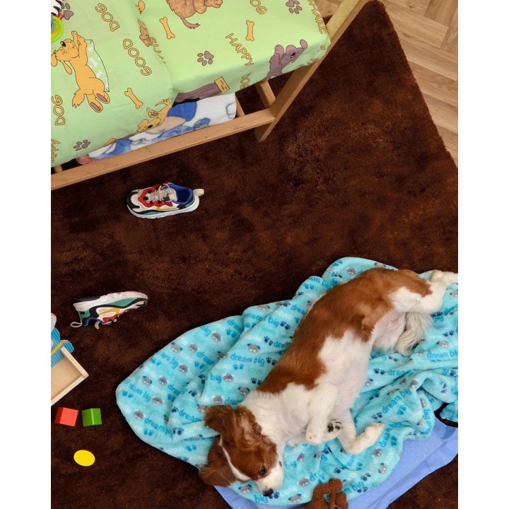 3123d0e7bfbcdb017937de0ce2ea1b42