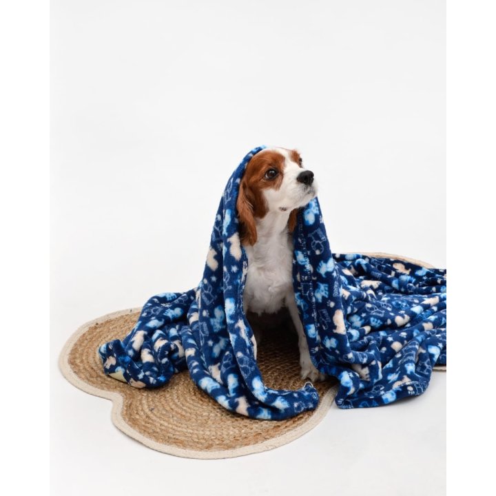 18e14922f3e29d206aa51d97d4f44738